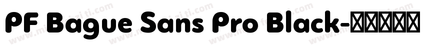 PF Bague Sans Pro Black字体转换
